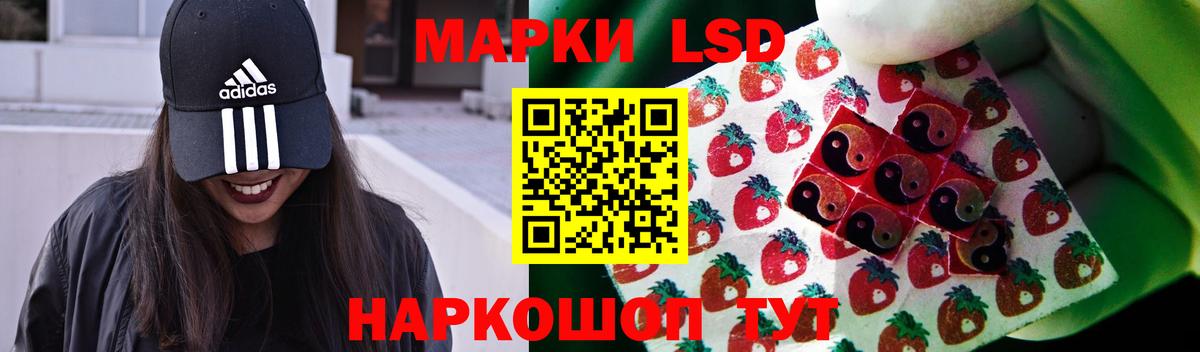 ЛСД экстази кислота  blacksprut как войти  Электрогорск  LSD-25 экстази ecstasy  Вход с VPN 