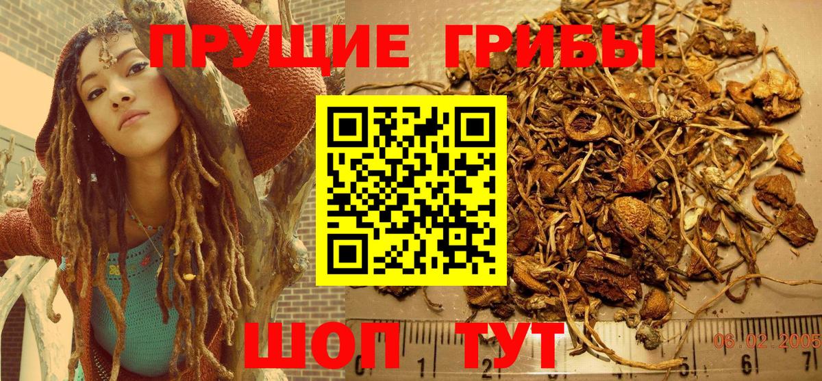 Псилоцибиновые грибы GOLDEN TEACHER Электрогорск