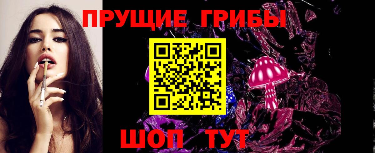 Псилоцибиновые грибы MAGIC MUSHROOMS  Вход с VPN  где можно купить   Электрогорск 